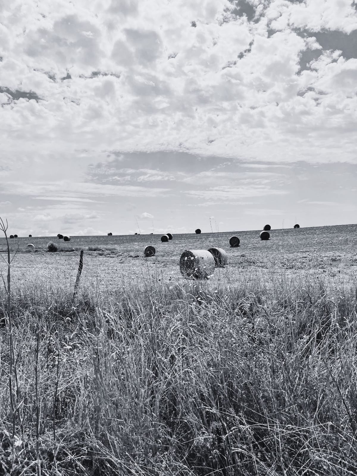 La matrioska fatta di gabbie