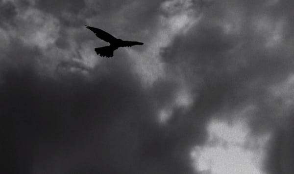 Il settimo sigillo, Ingmar Bergman, 1957