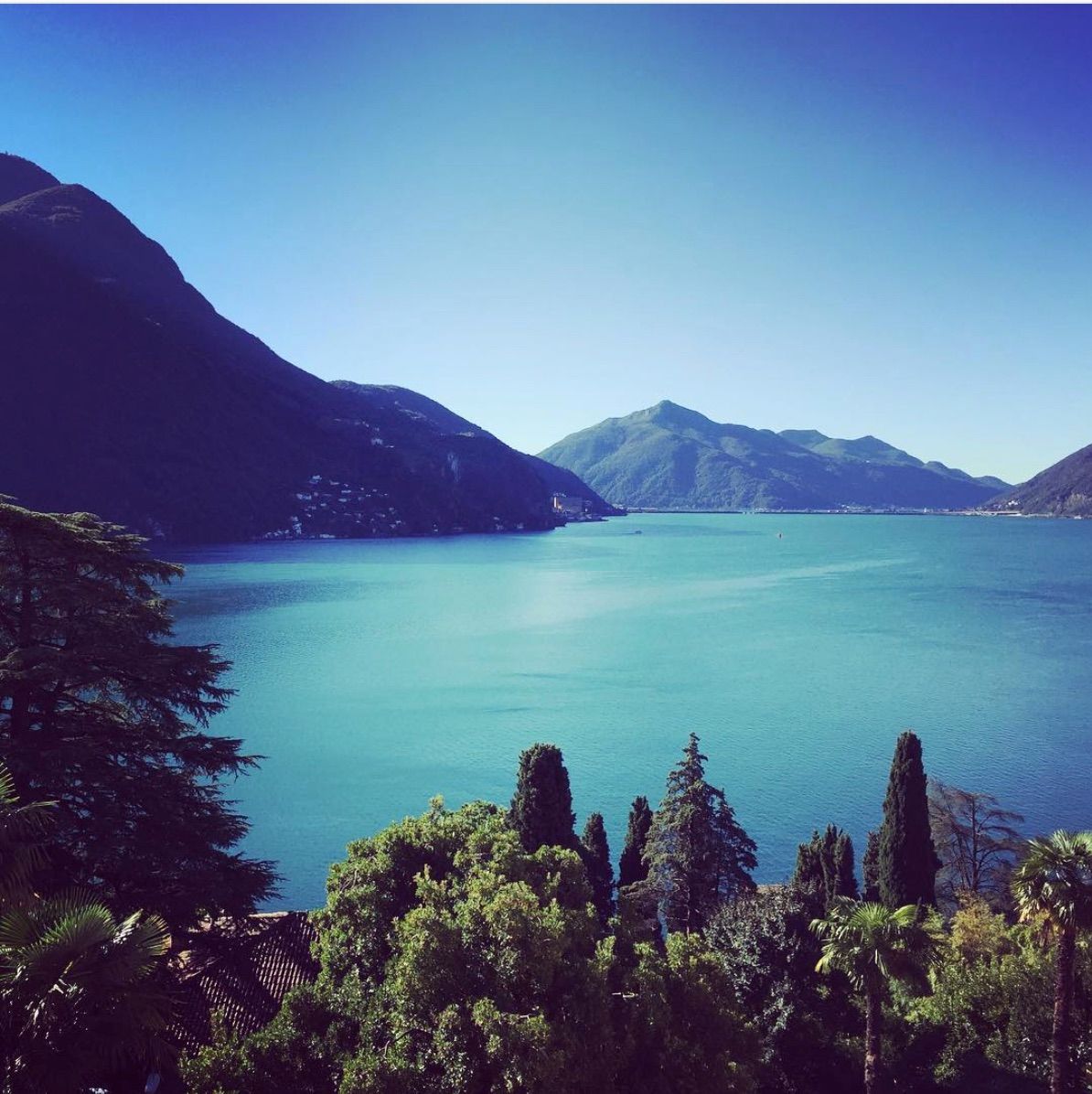 Corso pianificato per la settimana 27-31 luglio 2020 trasformato in un corso intensivo di scrittura creativa.