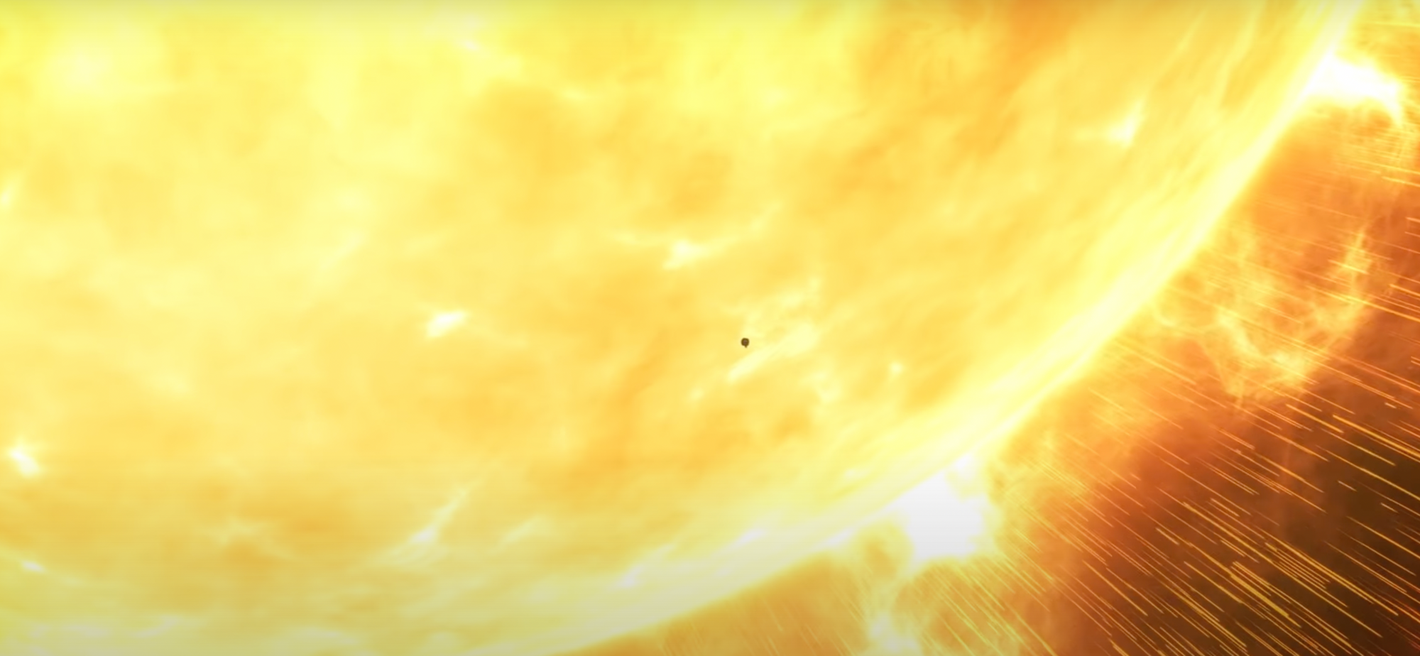 Buona domenica, educatore della tua anima selvaggia!