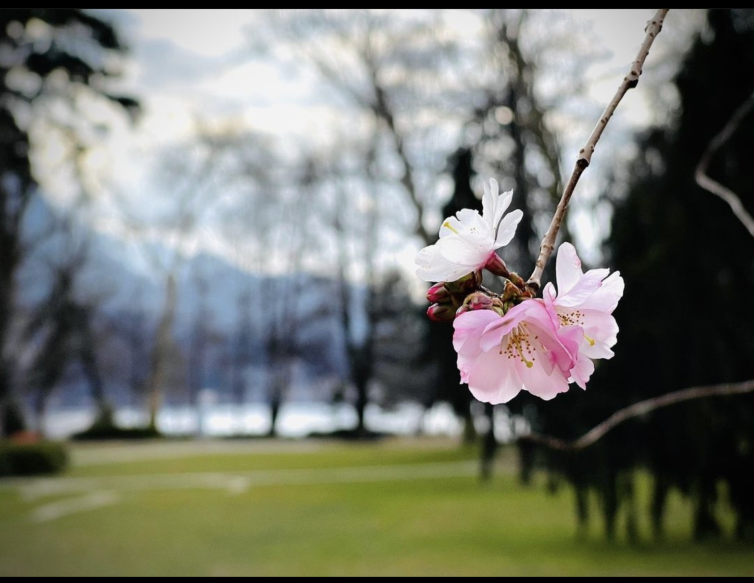 Buona domenica, informatico informato!