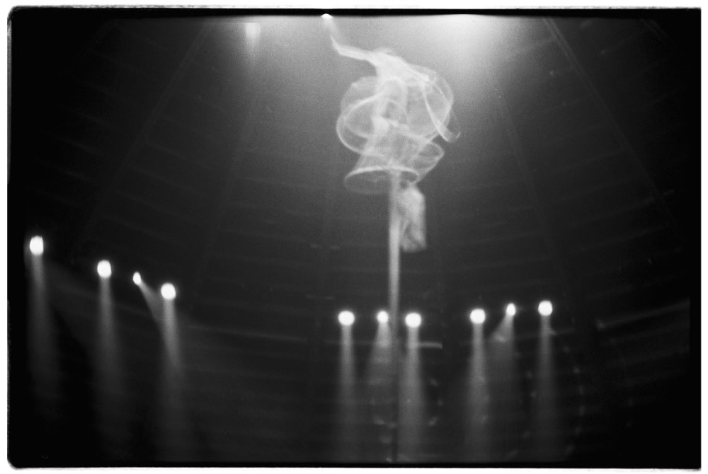 Raubkatzen &ndash; Die Befreiung