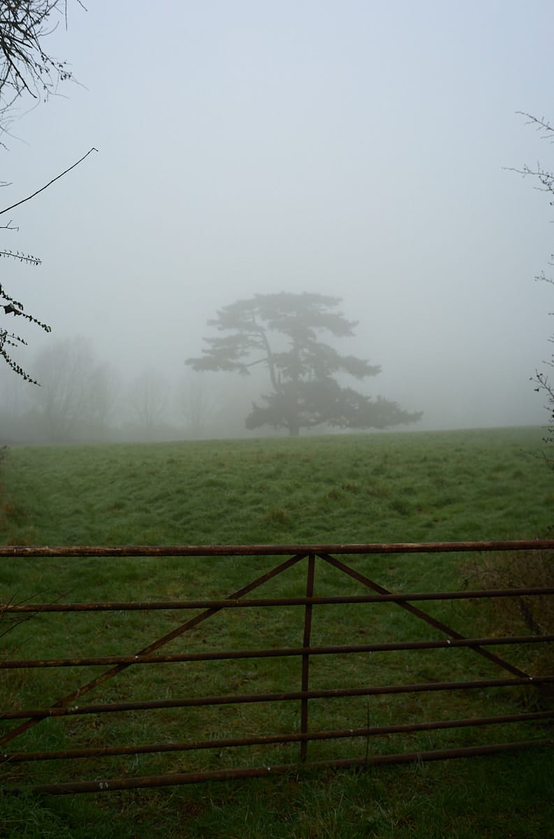 L'uomo al binario sbagliato