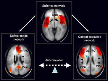 Le tre reti neurali principali: Salience Network, Default Mode Network e Central Executive Network